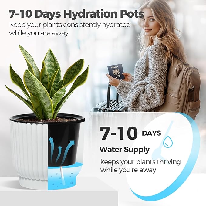 T4U 4.5 Inch Plant Pots Self Watering, 6 Pack African Violet Pots, Small Plant Pots for Plants, Small Indoor Plant Pot, Self Watering Planter for African Violet, Succulents (6 Pack 4.5" Pots, White)