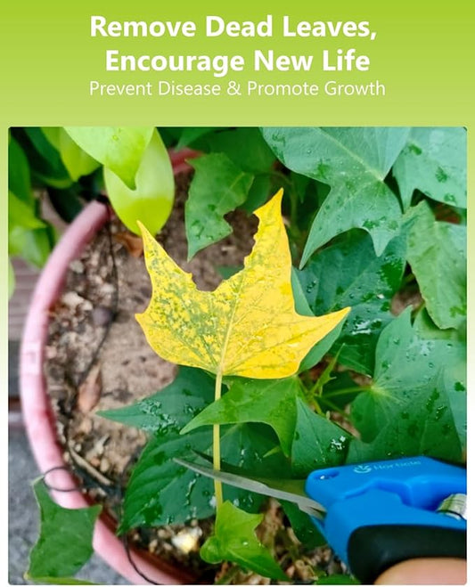 6.5" Garden Scissors Pruning Shears: 2 Pack of Trimming Scissors for Small Plants - High Cutting Efficiency Flower Snips for Gardening