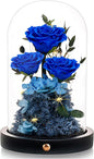 Flowers Roses Gifts for Mom Grandma,Forever Preserved Rose in Glass Dome, Christmas Anniversary Thanksging Birthday Real Roses Gifts for Wife Women Mother in Law/Blue