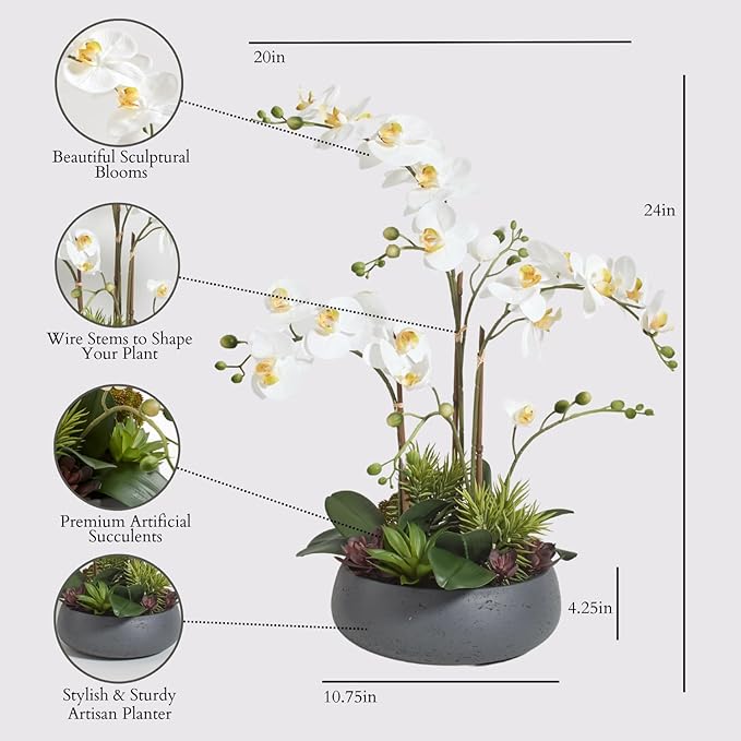 CG Hunter Faux Orchid Plant w/Succulents, Premium Artificial Indoor Flower Display Stands 23” w/Beautiful Sculptural Blooms and Succulents That Lasts Forever, Grey Planter Pot Included