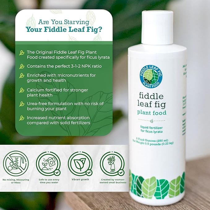 Fiddle Leaf Fig Plant Food – 3‑1‑2 Balanced NPK Liquid Fertilizer for Larger Leaves, Stronger Roots & Steady, Vibrant Growth | Suitable for All Ficus Including Ficus Lyrata | Made in USA | 8 oz