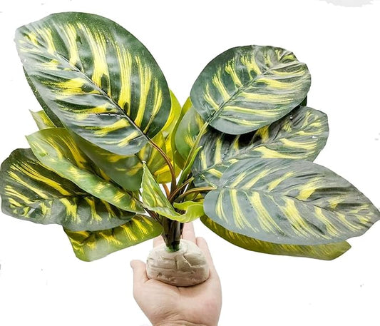 Reptile Terrarium Decor Plants,Amphibian Habitat Decor,Fake Plants for Bearded DragonTank Accessories fit Leopard Gecko Lizard Chameleon Snake Tortoise (Calathea makoyana -C)