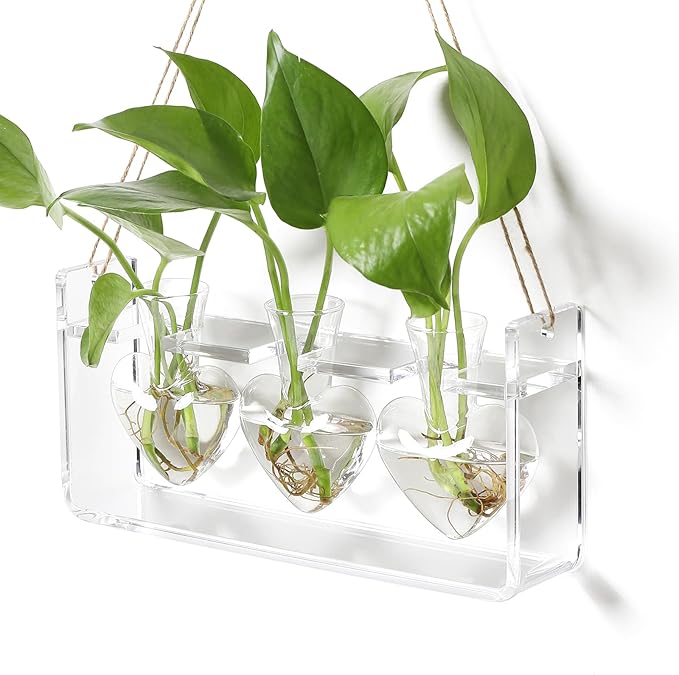 Clear Plant Propagation Station Plants Terrarium Planter Vase Birthday Gifts for Women Girl in Acrylic Stand Home Office Garden Decor