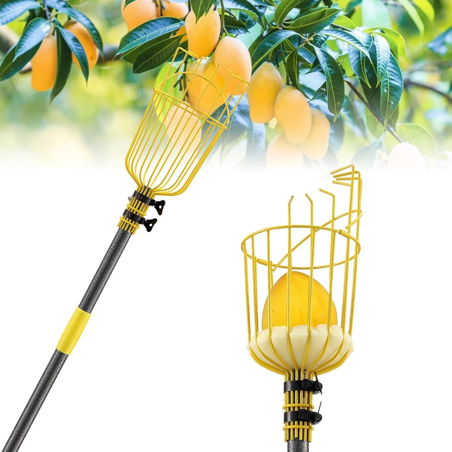 Fruit Picker Pole with Basket,8FT Long Heavy Duty Mango Picker Tool with Adjustable Fruits Picking Pole, Fruits Picking Grabber for Lemon,Apple,Almonds,Avocados