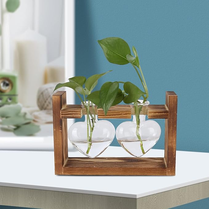 Plant Terrarium with Wooden Stand,Heart Shaped Transparent Glass Vase Flower Pot Hydroponics Plant Propagation Station for Hydroponics Plants Home Office Decor (Retro Box + 2