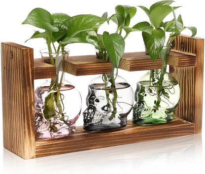 Plant Terrarium Propagation Stations Hydroponics Halloween Skull Planter Vase Skulls Decor with Wooden Stand Gife for Father