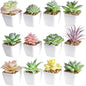 Tiita Artificial Faux Succulents in Pots Fake Plants Plastic Arrangement Planter Small Mini Tiny Decoration for Home Office Desk Window Sill Bathroom Bedroom Outdoor Indoor 12 Set