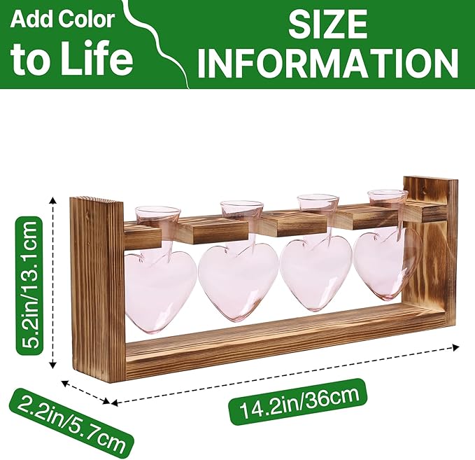 Heart Plant Terrarium Kit Gift for Women Plant Lover Glass Vases