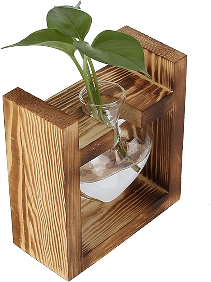 Zerodis Plant Terrarium with Wooden Stand,Heart Shaped Transparent Glass Vase Flower Pot Hydroponics Plant Propagation Station for Hydroponics Plants Home Office Decor (Retro Box + 1