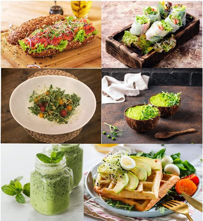 Self Watering Microgreens Growing Kit. Hands Down The Easiest Way to Grow Microgreens. Includes Tray, Seeds, Mats, and Bamboo Surround. Great Gift for Gardeners