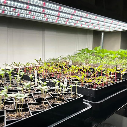 Active Grow T5 High Output 4FT LED Grow Light Bulb - T5 Grow Lights for Indoor Plants, Seed Starting & Compact Plant Growth - 24W - Sun White Pro Full Spectrum - Plug & Play - 4-Pack