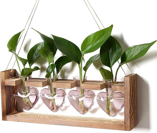 Heart Plant Terrarium Kit Gift for Women Plant Lover Glass Vases