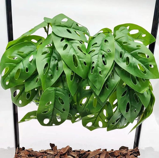 Reptile Plants for Terrarium Decor, Amphibian Habitat Decor, Reptile Tank Accessories, Artificial Hanging Plants with Suction Cup-2 Packs (Swiss Cheese)