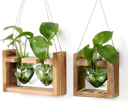 2+1 Plant Terrarium Plant Propagation Station Birthday Gifts for Women Home Office Decor with Wooden Stand