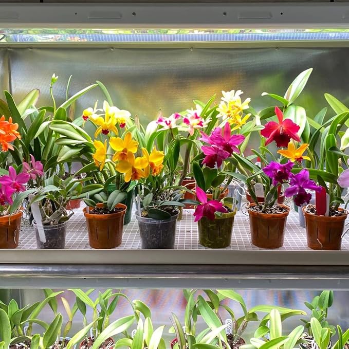 Active Grow T5 High Output 2FT LED Grow Light Bulb - T5 Grow Lights for Indoor Plants, Veg, Bloom, Leafy Greens & Microgreens - 12W - Sun White Full Spectrum High CRI 95 - Plug & Play - 4-Pack