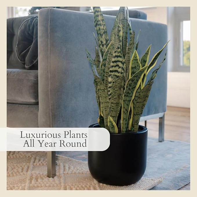 CG Hunter Faux Snake Plant, Premium Artificial Indoor Plant Stands 30” Tall and Enhances Interior Design, Lifelike-Leaves Create Realistic Natural Appearance, Black Planter Pot Included