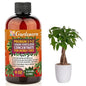 Premium Liquid Money Tree Plant Fertilizer - 3-1-2 Concentrate for Indoor Plants and Flowers by Gardenera | Organic Plant Food for Money Tree - 8oz
