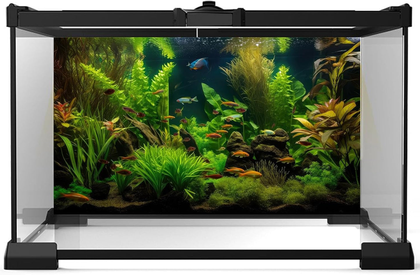 Aquarium Background Tropical Freshwater Colorful Fish Plants Fish Tank Background Tranquil Under The Sea Aquatic Plants Cork Redwood Root Lush Green Moss Reptile Tank Terrarium Background 36x18in