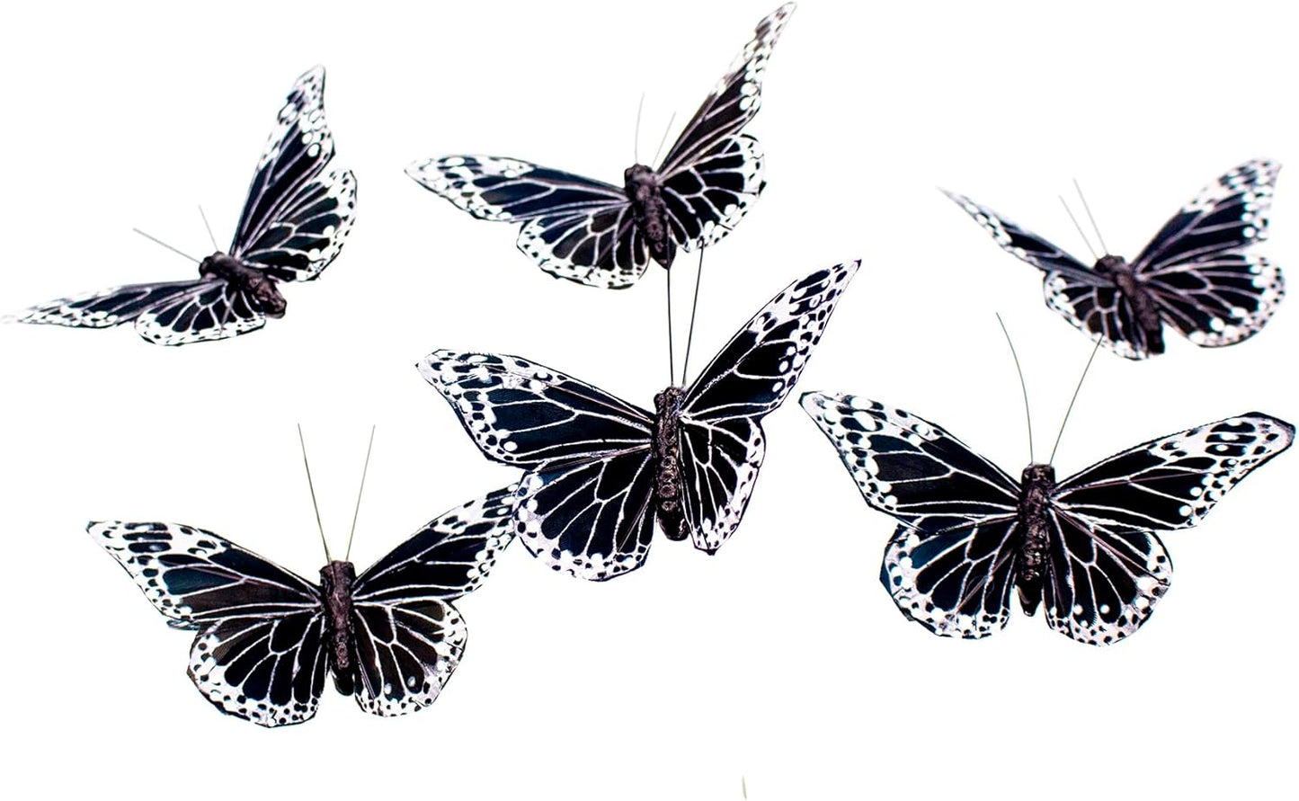 YCHTEWY- Feather Butterfly Decoration Set of 12 pcs Black Butterflies Party Decorations Halloween Decoration Home Decoration