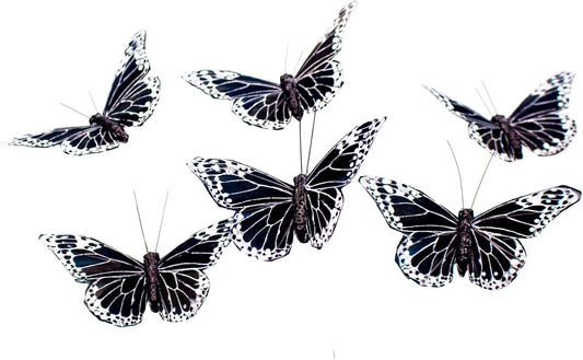 YCHTEWY- Feather Butterfly Decoration Set of 12 pcs Black Butterflies Party Decorations Halloween Decoration Home Decoration