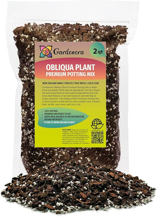 GARDENERA Expertly Formulated Monstera Obliqua Soil Mix - Strong and Healthy Roots by Gardenera - 2 Quart