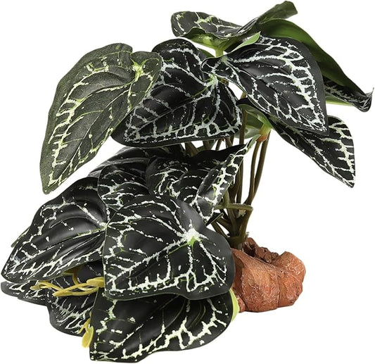 Reptile Plants for Terrarium, Ball Python Tank Decor Accessories fit Bearded Dragon Crested Leopard Gecko Lizard Chameleon Snake Frog Tortoise Hermit Crab - Fake Anthurium Crystallinum