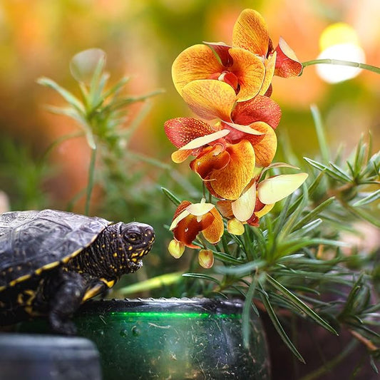 Chuangdi 2 Pieces Artificial Phalaenopsis with Suction Cups Terrarium Plant Decoration Reptile Habitat Plant Decor for Hermit Crab Lizards Geckos Snake Reptile (Purple, Yellow)