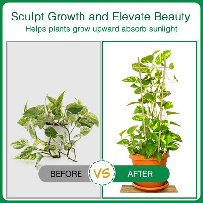 Bamboo Trellis 16" Ladder Vertical Gardening Plant Trellis for Climbing Plants Orchid Monstera and Indoor Potted Plants-6 Pack