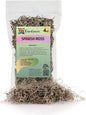 Premium Natural Spanish Moss | Natural Preserved - Great Ground Cover - Filler for Potted Plants - by GARDENERA - 4 Quart Bag