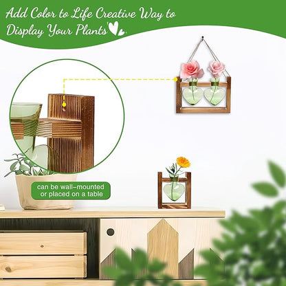 2+1 Plant Terrarium Plant Propagation Station Birthday Gifts for Women Home Office Decor with Wooden Stand