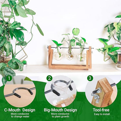 Propagation Station, Plants Terrarium, Plants Lover Gifts for Women,Plant Cutting Holder Home décor,Gifts for Women,House Warming New Home-3 Bulbs-C Type