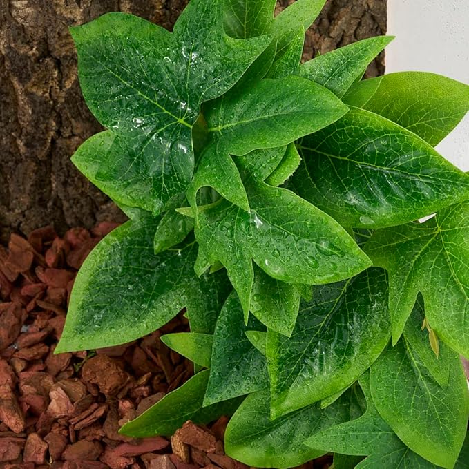 Reptile Plants for Terrarium, Ball Python Tank Decor Accessories fit Bearded Dragon Crested Leopard Gecko Lizard Chameleon Snake Frog Tortoise Hermit Crab - Fake Sweet Potato Vine