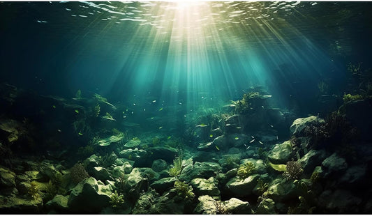 Deep Ocean Aquarium Background Under The Sea Fish Tank Background Underwater World Terrarium Backgrounds Ocean Floor Rock Aquatic Plants Aquarium Backdrop for Fish Tank Backgrounds Decors 36x20in