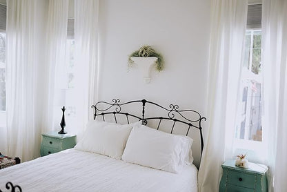 Stunning Flat Bottom 3 Globe Plant Terrarium Kits - 5 Small Assorted Air Plants, Beige Stones and Moss in Propagation Jar - Home and Garden Décor Plant Pot - Easy Care Indoor and Outdoor Plant Vase