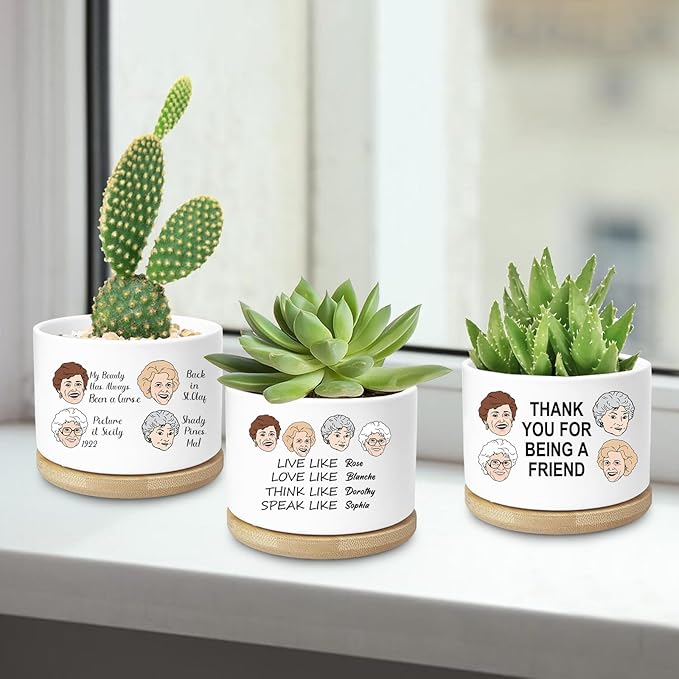 Golden Girls Planter, Golden Girls Merchandise, Friend Gifts for Women, Funny Succulent Planter, Flower Cactus Plant Pot, Friendship Gifts for Friends Bestie Sister Birthday (Plant Not Included)