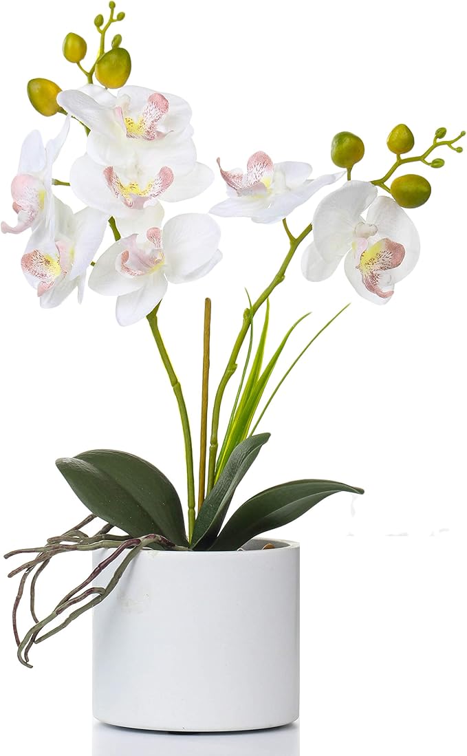 Jusdreen Artificial White Orchid in Ceramic Pot, Realistic Phalaenopsis Arrangement with Potting for Home Office Table Decor, 14.5 Inch Flower Centerpiece