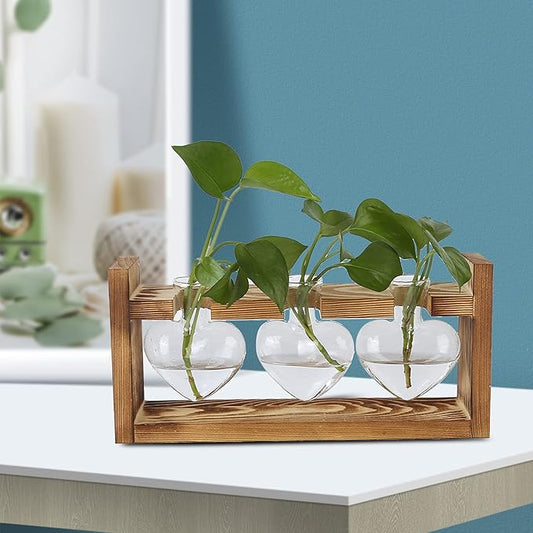 Plant Terrarium with Wooden Stand,Heart Shaped Transparent Glass Vase Flower Pot Hydroponics Plant Propagation Station for Hydroponics Plants Home Office Decor (Retro Box + 3