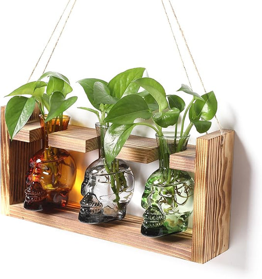 Plant Terrarium Propagation Stations Hydroponics Halloween Skull Planter Vase Skulls Decor with Wooden Stand Gift for Father