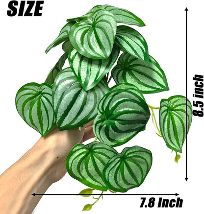 Woyrise Reptile Plants for Terrarium Decor, Ball Python Tank Accessories fit Bearded Dragon Crested Leopard Gecko Lizard Chameleon Snake Frog Tortoise Hermit Crab - Fake Calathea Orbifolia