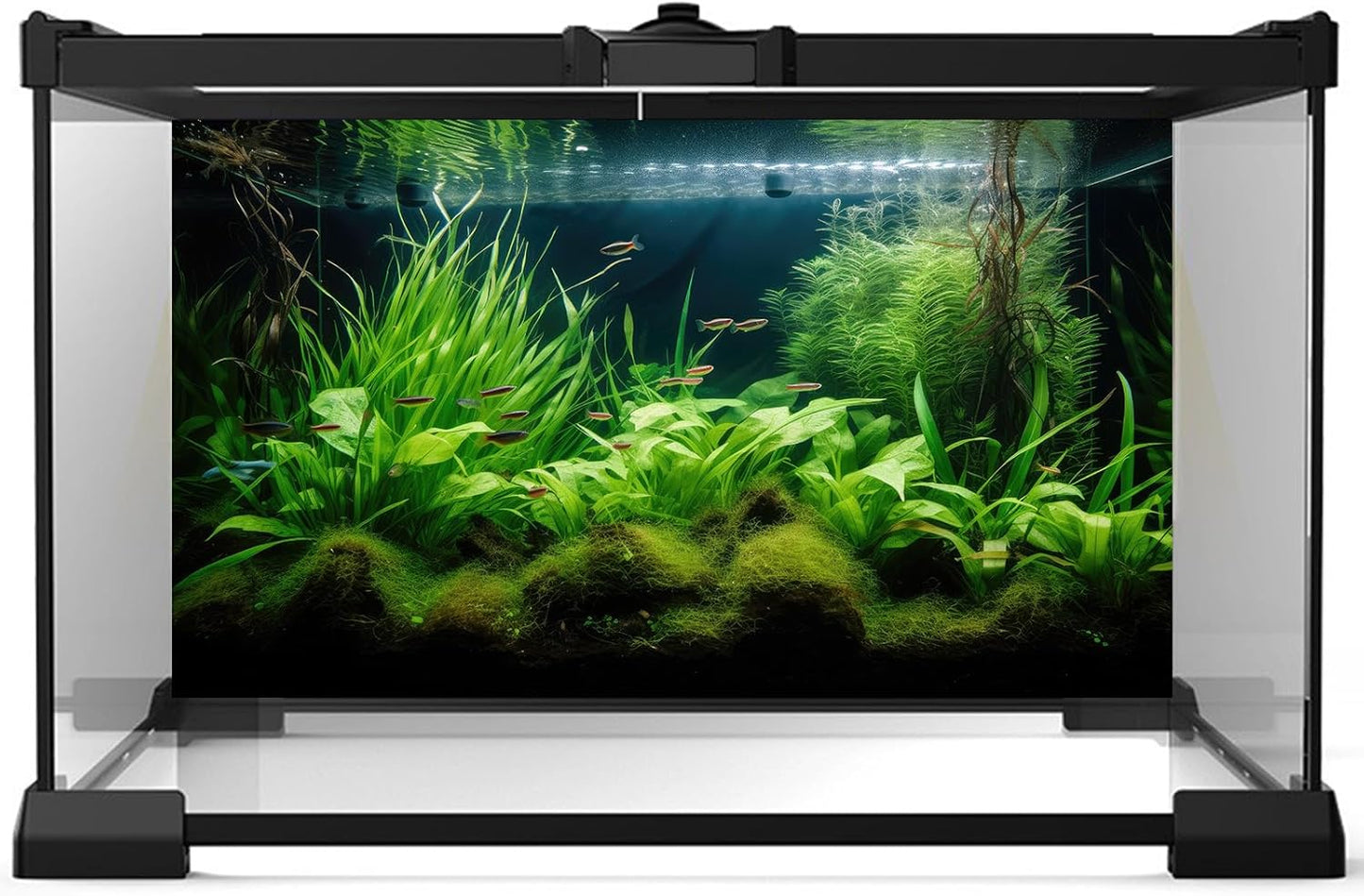 Aquarium Background Diverse Aquatic Plants Seagrasses Terrarium Background Redwood Root Lush Green Underwater Plants Tropical Style Fish Tank Background Under The Sea Aquarium Backdrop Vinyl 24x12in