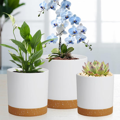3 Pack 6/5/4 inch Cylindrical Flower Pots, Modern Small Round Plastic Plant Pots with Drainage Holes & Saucers, Clean and Refined Planter Pots for Outdoor, Indoor & Office Decor (White Brown)