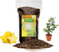 GARDENERA Premium Carambola Potting Soil Mix - Perfect Balance of Nutrients, Drainage, and Aeration for Thriving Starfruit Trees - 1 Quart