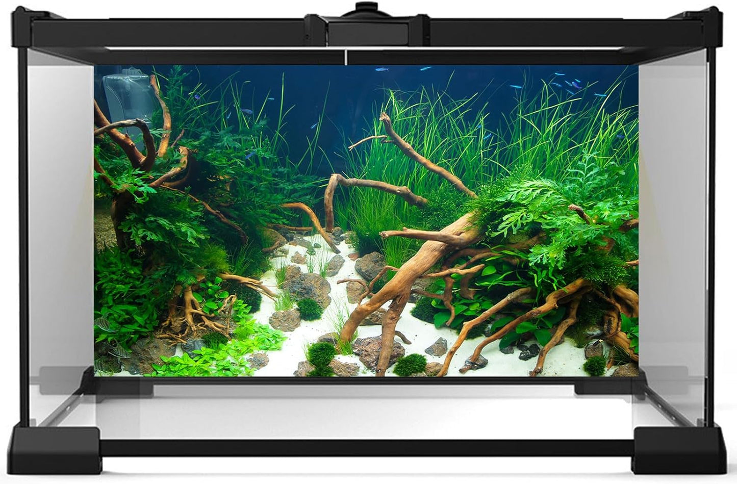 Aquarium Background Various Underwater Grass Plants Aquarium Backdrop Vivid and Fresh Green Aquatic Plants Stone River Bed and Dead Wood Yellow Stone Fish Tank Background 24x16in