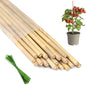 Plant Stakes 16inch, 20Pcs Natural Bamboo Sticks Garden Stakes, HAINANSTRY Plant Support Stakes for Indoor & Outdoor Plants, Orchid Tomato Vegetable Stakes for Garden