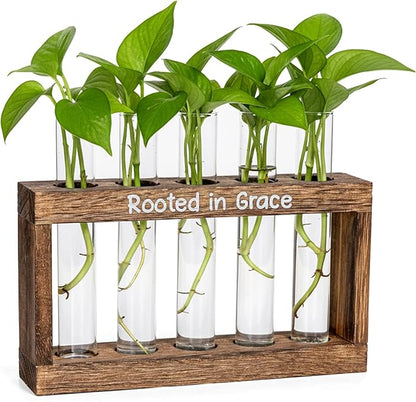 Rooted in Grace Plant Propagation Station – Wooden Stand with 5 Glass Vases, Faith-Inspired Christian Gift for Women, Indoor Plant Cutting Holder for Home, Office, Garden and Housewarming Décor
