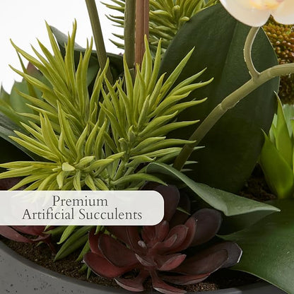 CG Hunter Faux Orchid Plant w/Succulents, Premium Artificial Indoor Flower Display Stands 23” w/Beautiful Sculptural Blooms and Succulents That Lasts Forever, Grey Planter Pot Included
