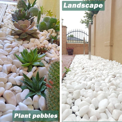11 Lbs Natural River Rocks for Plants 1.6-2.5 inches Large White Landscaping Garden Stones White Aquarium Gravel Decorative Pebbles for Indoor Outdoor Planters Home Decor
