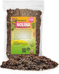 Premium Nolina Plant Soil Mix by Gardenera - Stimulate Growth and Elevate Unique Beauty with Nourishing Formula - 5 Quart
