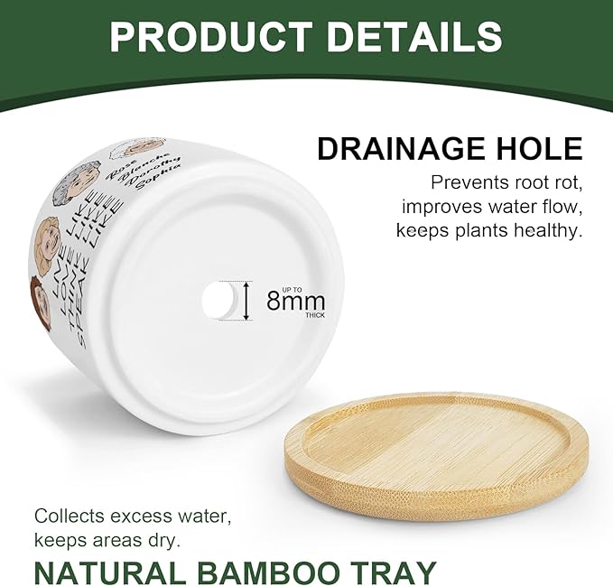 Friend Gifts for Women, Funny Succulent Planter, Flower Cactus Plant Pot, Golden Gilrs Merchandise, Friendship Gifts for Best Friends Bestie Sister Birthday Present (Plant Not Included)