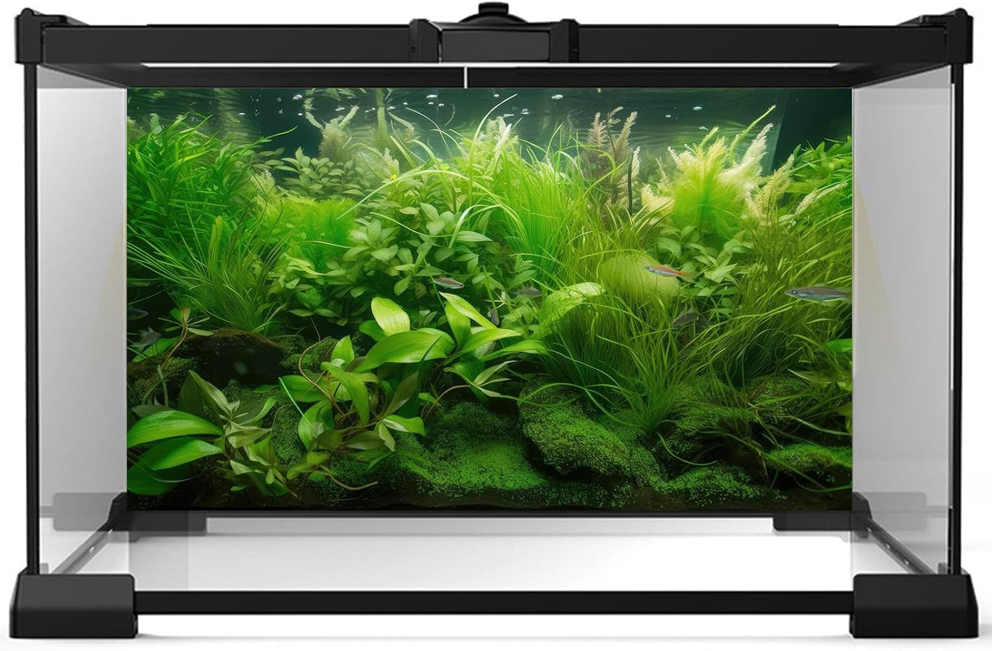 Aquarium Background Diverse Collection of Aquatic Plants Seagrasses Terrarium Background Redwood Root Moss Tropical Style Underwater Lush Green Plants Fish Tank Background Wallpaper Poster 30x18in